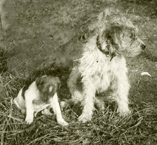 F-32-097-Epinal I.10.5-12.5.44-Suzy the dog and puppy