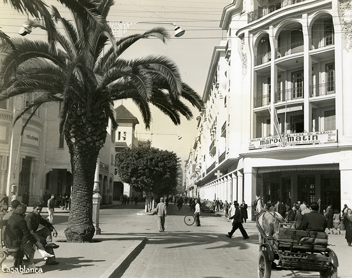 C-8-202-Casa street with palm tree copy